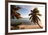 Palm Trees on Beach at Sunset, Culebra Island, Puerto Rico-null-Framed Photographic Print
