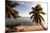 Palm Trees on Beach at Sunset, Culebra Island, Puerto Rico-null-Mounted Photographic Print