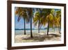 Palm trees on beach, Britannia Bay, Mustique, Saint Vincent And The Grenadines-null-Framed Photographic Print