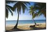 Palm Trees on Beach, Las Terrenas, Samana Peninsula, Dominican Republic-Massimo Borchi-Mounted Photographic Print