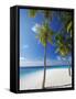 Palm Trees on Beach, Maldives, Indian Ocean, Asia-Sakis Papadopoulos-Framed Stretched Canvas