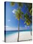 Palm Trees on Beach, Maldives, Indian Ocean, Asia-Sakis Papadopoulos-Stretched Canvas