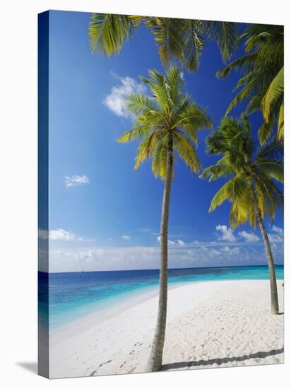 Palm Trees on Beach, Maldives, Indian Ocean, Asia-Sakis Papadopoulos-Stretched Canvas