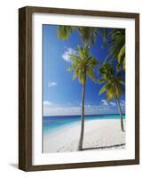 Palm Trees on Beach, Maldives, Indian Ocean, Asia-Sakis Papadopoulos-Framed Photographic Print