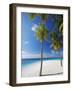 Palm Trees on Beach, Maldives, Indian Ocean, Asia-Sakis Papadopoulos-Framed Photographic Print