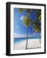 Palm Trees on Beach, Maldives, Indian Ocean, Asia-Sakis Papadopoulos-Framed Photographic Print