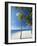 Palm Trees on Beach, Maldives, Indian Ocean, Asia-Sakis Papadopoulos-Framed Photographic Print