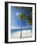 Palm Trees on Beach, Maldives, Indian Ocean, Asia-Sakis Papadopoulos-Framed Photographic Print