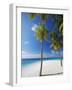 Palm Trees on Beach, Maldives, Indian Ocean, Asia-Sakis Papadopoulos-Framed Photographic Print