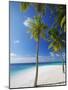 Palm Trees on Beach, Maldives, Indian Ocean, Asia-Sakis Papadopoulos-Mounted Photographic Print