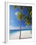 Palm Trees on Beach, Maldives, Indian Ocean, Asia-Sakis Papadopoulos-Framed Photographic Print