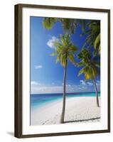 Palm Trees on Beach, Maldives, Indian Ocean, Asia-Sakis Papadopoulos-Framed Photographic Print