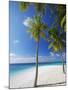 Palm Trees on Beach, Maldives, Indian Ocean, Asia-Sakis Papadopoulos-Mounted Photographic Print
