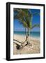 Palm Trees on Beach, Playa El Cortecito, Bavaro, Dominican Republic-Massimo Borchi-Framed Photographic Print