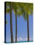 Palm Trees on Beach-Jonathan Hicks-Stretched Canvas