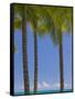 Palm Trees on Beach-Jonathan Hicks-Framed Stretched Canvas