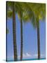 Palm Trees on Beach-Jonathan Hicks-Stretched Canvas