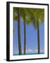 Palm Trees on Beach-Jonathan Hicks-Framed Premium Photographic Print