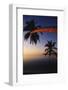 Palm Trees on Beach-Michele Westmorland-Framed Photographic Print