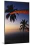 Palm Trees on Beach-Michele Westmorland-Mounted Photographic Print