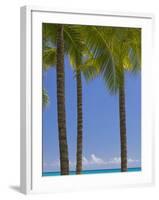 Palm Trees on Beach-Jonathan Hicks-Framed Photographic Print