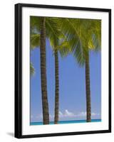 Palm Trees on Beach-Jonathan Hicks-Framed Photographic Print