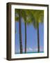 Palm Trees on Beach-Jonathan Hicks-Framed Photographic Print