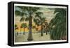 Palm Trees on Cabrillo Boulevard, Santa Barbara, California-null-Framed Stretched Canvas