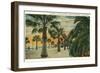 Palm Trees on Cabrillo Boulevard, Santa Barbara, California-null-Framed Art Print