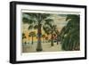 Palm Trees on Cabrillo Boulevard, Santa Barbara, California-null-Framed Art Print