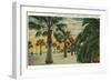 Palm Trees on Cabrillo Boulevard, Santa Barbara, California-null-Framed Art Print