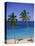 Palm Trees on Deserted Beach, Antigua, Caribbean, West Indies, Central America-Firecrest Pictures-Stretched Canvas