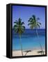 Palm Trees on Deserted Beach, Antigua, Caribbean, West Indies, Central America-Firecrest Pictures-Framed Stretched Canvas