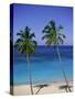 Palm Trees on Deserted Beach, Antigua, Caribbean, West Indies, Central America-Firecrest Pictures-Stretched Canvas