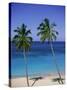 Palm Trees on Deserted Beach, Antigua, Caribbean, West Indies, Central America-Firecrest Pictures-Stretched Canvas