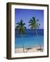 Palm Trees on Deserted Beach, Antigua, Caribbean, West Indies, Central America-Firecrest Pictures-Framed Photographic Print