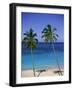 Palm Trees on Deserted Beach, Antigua, Caribbean, West Indies, Central America-Firecrest Pictures-Framed Photographic Print