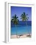 Palm Trees on Deserted Beach, Antigua, Caribbean, West Indies, Central America-Firecrest Pictures-Framed Photographic Print