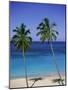 Palm Trees on Deserted Beach, Antigua, Caribbean, West Indies, Central America-Firecrest Pictures-Mounted Photographic Print