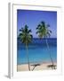 Palm Trees on Deserted Beach, Antigua, Caribbean, West Indies, Central America-Firecrest Pictures-Framed Photographic Print