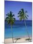 Palm Trees on Deserted Beach, Antigua, Caribbean, West Indies, Central America-Firecrest Pictures-Mounted Photographic Print