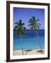 Palm Trees on Deserted Beach, Antigua, Caribbean, West Indies, Central America-Firecrest Pictures-Framed Photographic Print