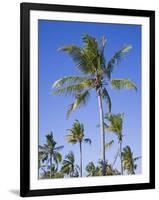 Palm Trees on Ibo Island, Part of the Quirimbas Archipelago, Mozambique-Julian Love-Framed Photographic Print