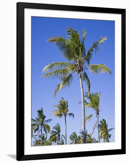 Palm Trees on Ibo Island, Part of the Quirimbas Archipelago, Mozambique-Julian Love-Framed Photographic Print