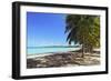 Palm trees on Seven Seas Beach-George Oze-Framed Photographic Print