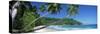 Palm Trees on the Beach, Anse Severe, La Digue Island, Seychelles-null-Stretched Canvas