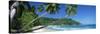 Palm Trees on the Beach, Anse Severe, La Digue Island, Seychelles-null-Stretched Canvas