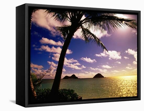 Palm Trees on the Beach at Sunset, Lanikai, U.S.A.-Ann Cecil-Framed Stretched Canvas