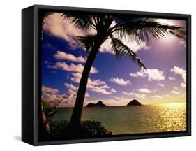 Palm Trees on the Beach at Sunset, Lanikai, U.S.A.-Ann Cecil-Framed Stretched Canvas