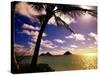 Palm Trees on the Beach at Sunset, Lanikai, U.S.A.-Ann Cecil-Stretched Canvas